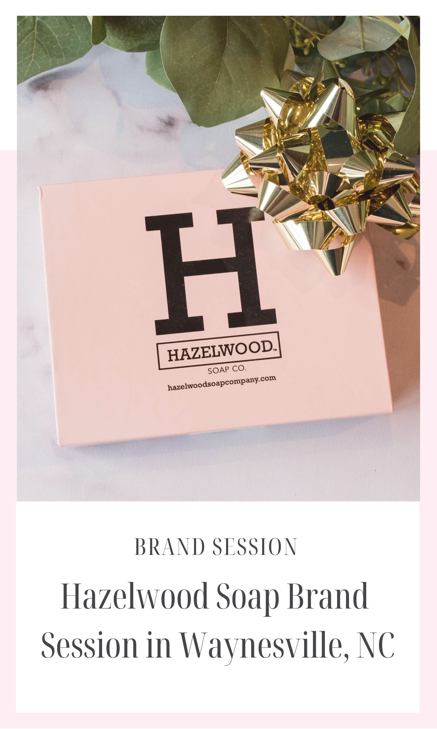 WNC Brand Photography Panache Photography